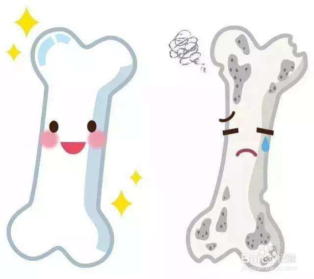 朗迪碳酸钙d3片带你揭秘成人补钙误区