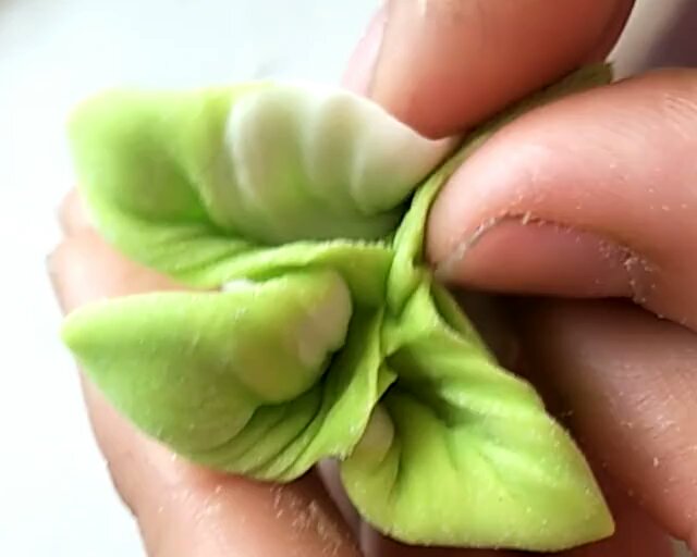 教你如何做出好吃又好看的白菜饺子