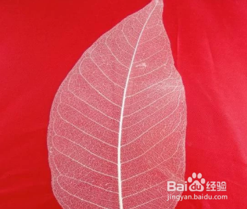 树叶书签最简单的做法