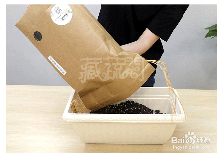 如何在阳台上种满瓜类蔬菜 打造美美的阳台