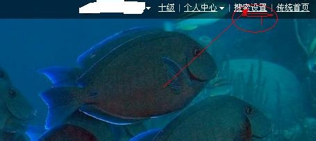 遇到不认识的字怎么打