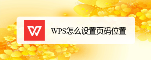 WPS怎么设置页码位置