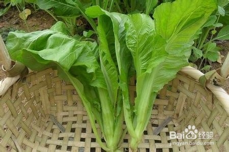不是所有蔬菜都适宜生吃的