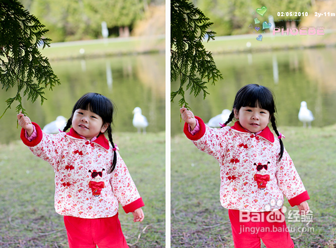 棒棒糖女孩和温哥华绿头鸭(组图)