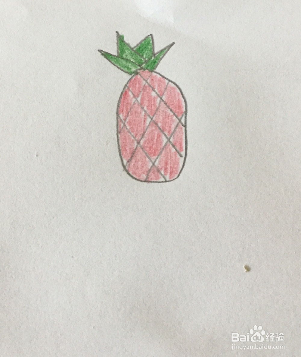 菠萝简笔画教程