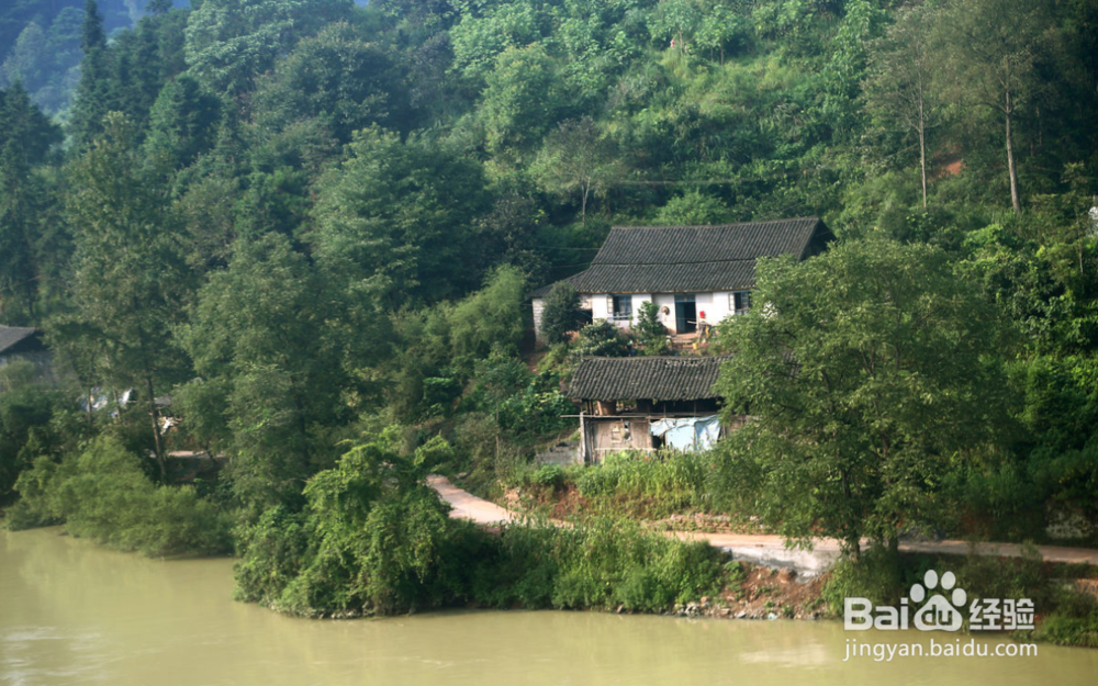 在农村如何增加收益