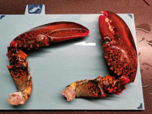 芝士焗波士顿龙虾