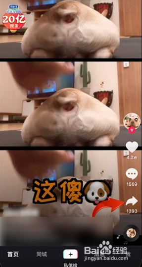 抖音上下载的视频怎么把抖音号去掉