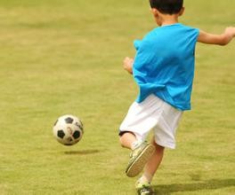 怎样提高孩子的免疫 力