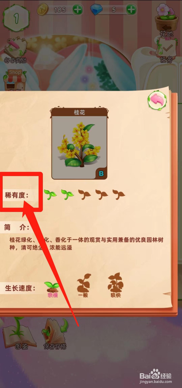 花花姑娘之魔法花园如何查看桂花稀有度