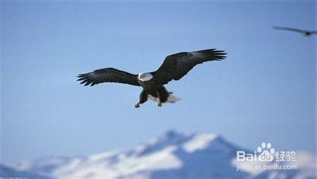 发现亲人出轨了怎么办?