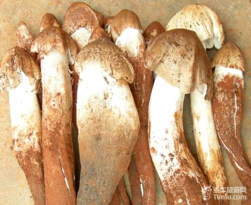 春节旅游去昆明购物攻略