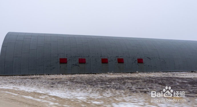 丘吉尔镇,在北极熊的自由和不自由间的选择