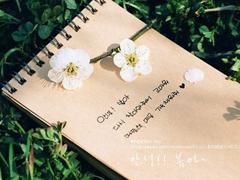 吉林省成考学校排名