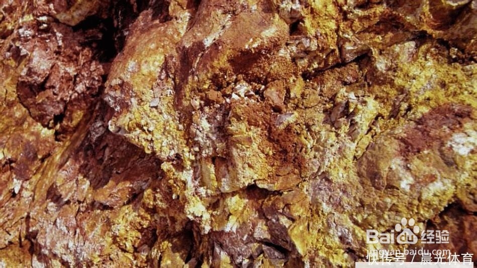 全球最“危险”的金矿，黄金遍地却没人挖