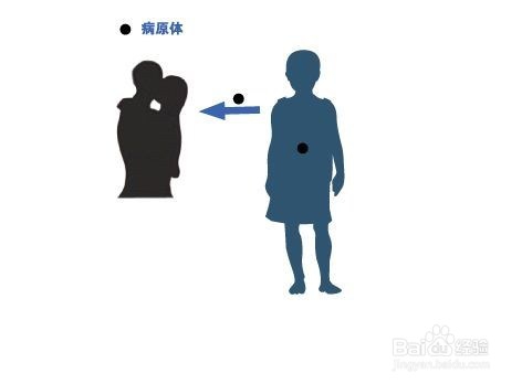艾滋病传播方式,哪些接触传播没事怎样预防。