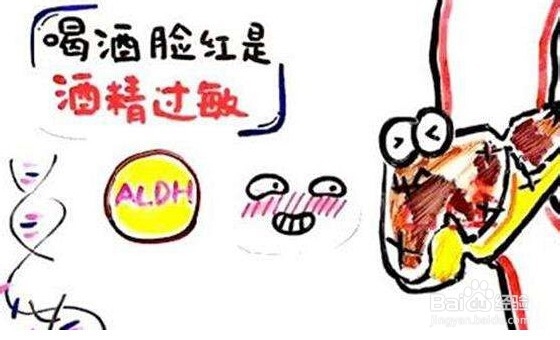 怎么在逃不掉的酒局中不喝酒？