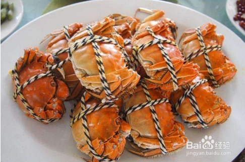 寒性食物一览表