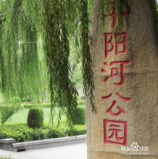 新泰有什么好玩的地方