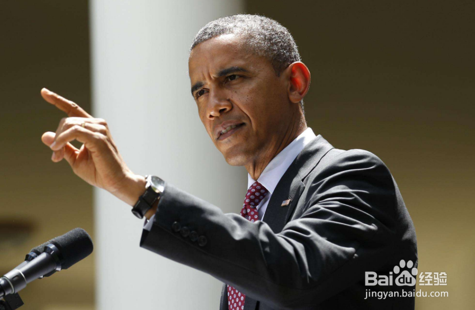 如何选择丨你愿意做大象还是蚂蚁？