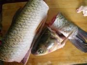 超详细版人气美食·酸菜鱼