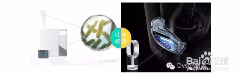 你与呼吸健康之间,竟是一台除菌加湿器的距离