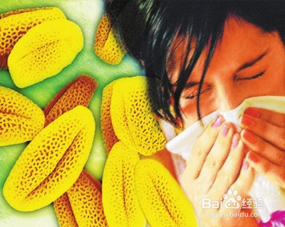 皮肤过敏怎么办_过敏性皮炎怎么办以及治疗