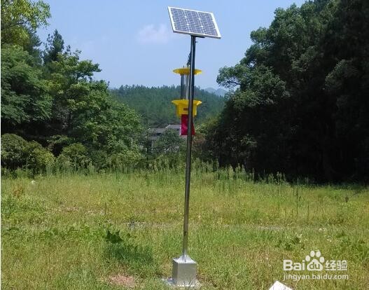 频振式太阳能杀虫灯的杀虫效果怎么样？