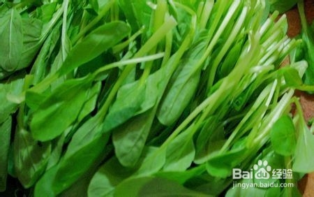 平菇烧青菜的家常做法