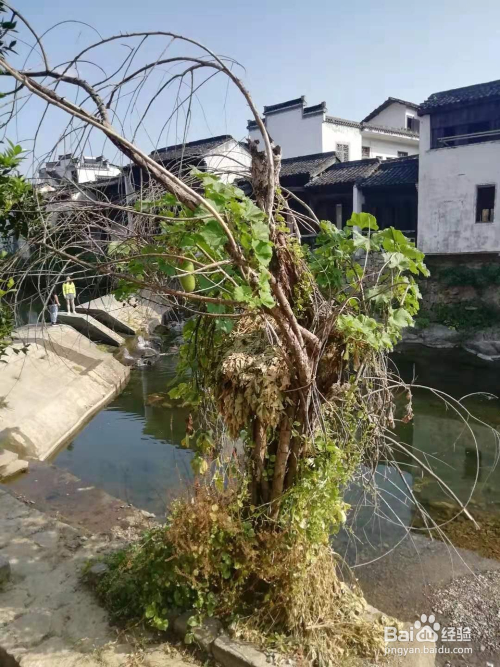 皖南歙县自驾游