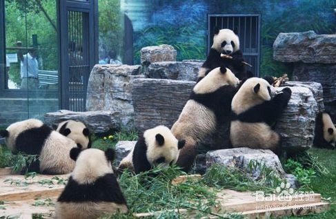 北京三日游攻略