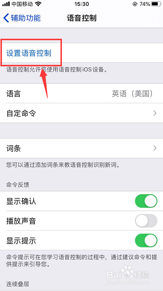 iOS 13怎么开启语音控制