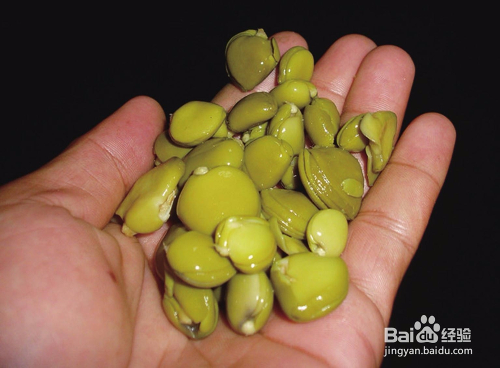 榄钱烘干机的烘干时间计算及烘干系统容量的配置