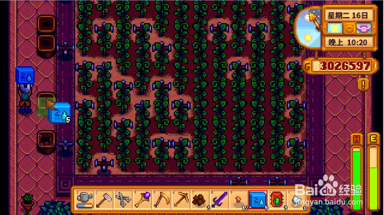 星露谷物语仙人掌怎么种