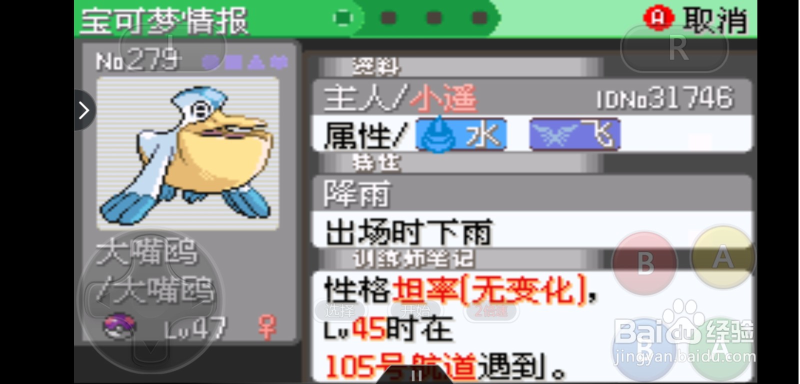 口袋妖怪雨天队介绍