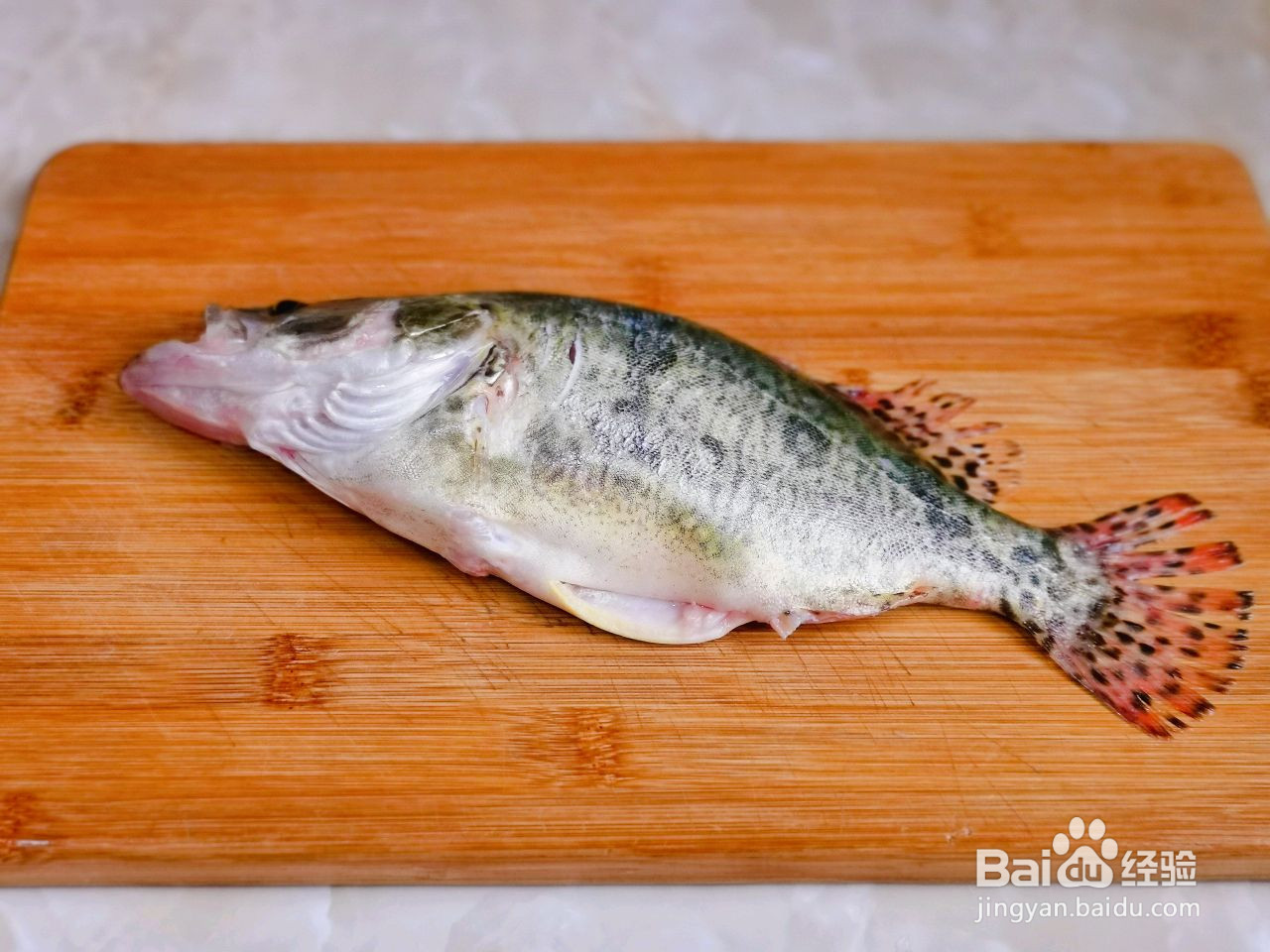 培根蒸桂鱼的做法