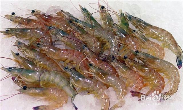 新建育苗池使用前应如何处理