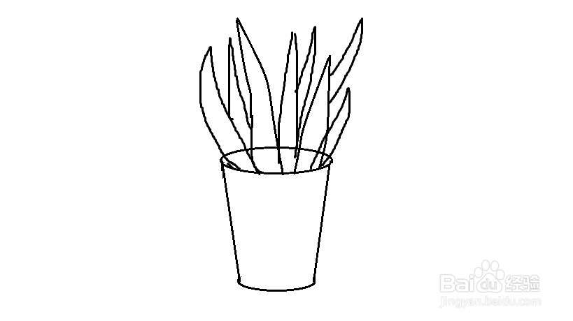 如何画一盆芦荟插画