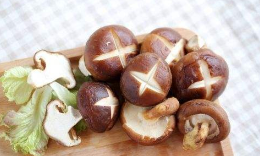 香菇是酸性还是碱性