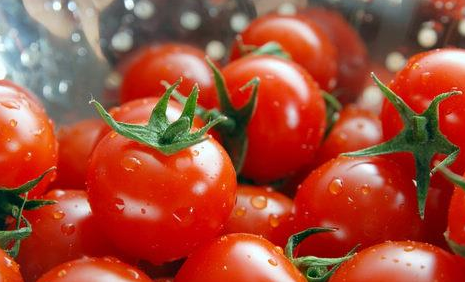 小西红柿和圣女果有什么区别