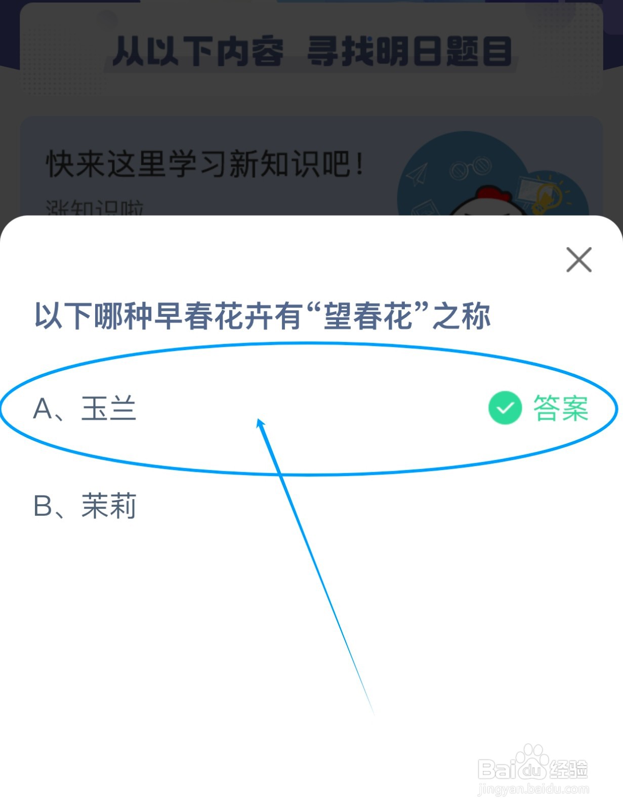哪种早春花卉又被称为“望春花”?