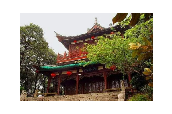 登楼望湖的诗句是什么