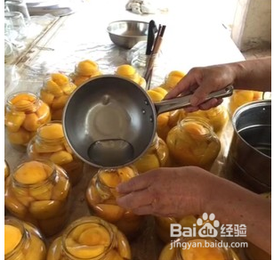怎样做黄金桃罐头