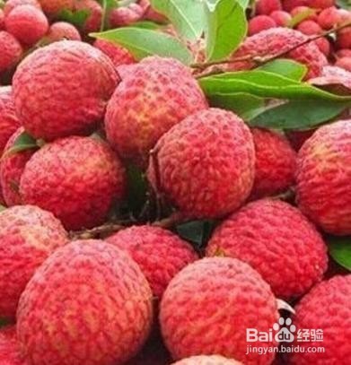 如何挑选荔枝？