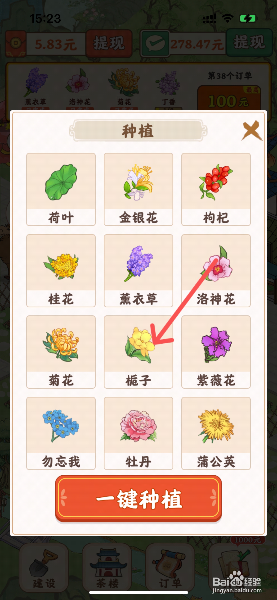 我的茶园中如何给农场种植栀子花