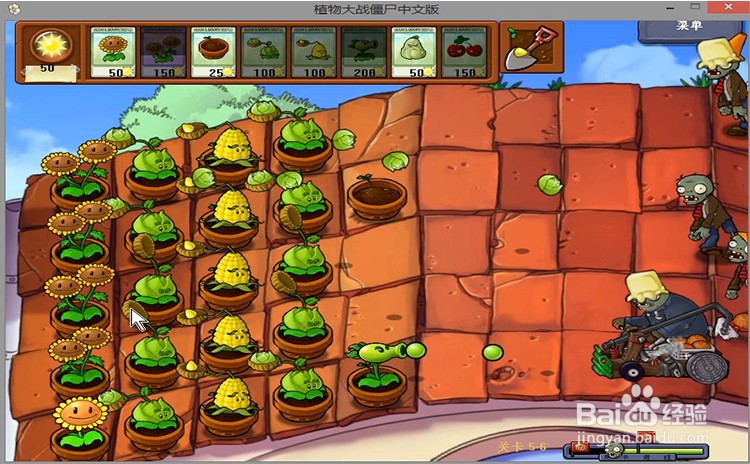 植物大战僵尸level5-6过关攻略
