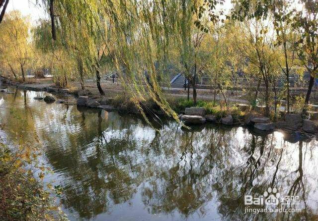 #萌新听我说#山东财经大学圣井校区学习攻略