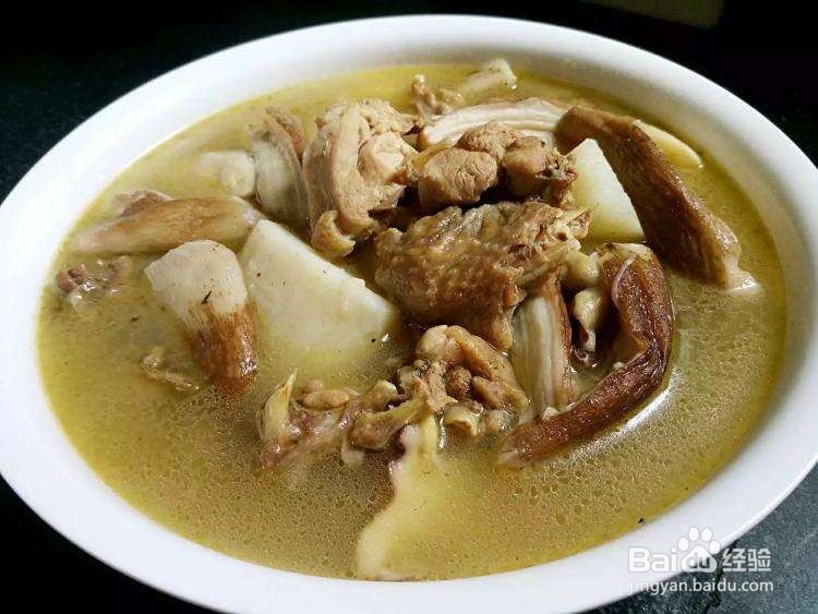 松树菇怎么做好吃