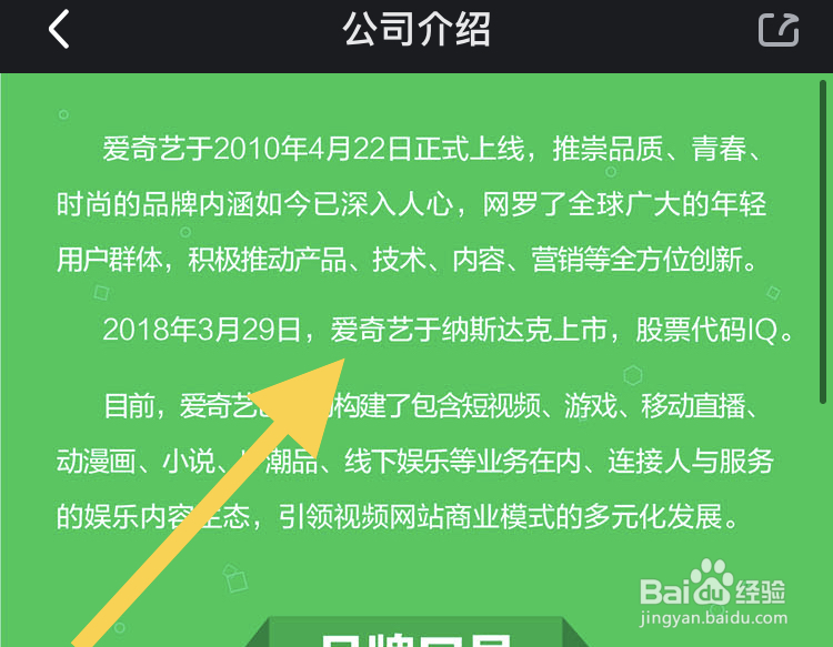 关于爱奇艺公司简介的内容查看？
