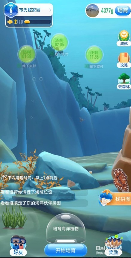 拟枣贝怎么获得